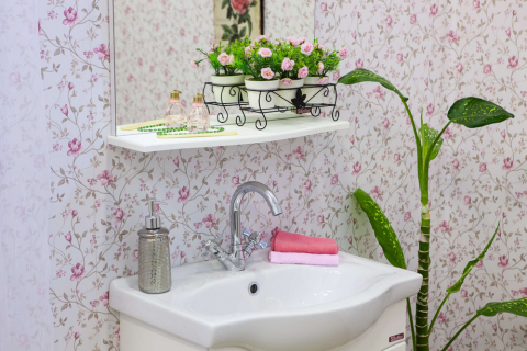 Мебель для ванной Sanflor Софи 60
